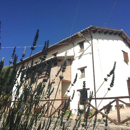 מונטמונקו Agriturismo Le Castellare מראה חיצוני תמונה