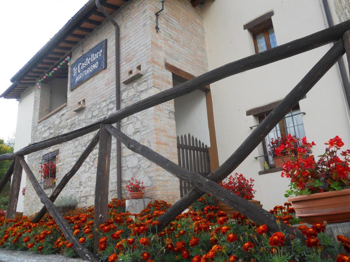 מונטמונקו Agriturismo Le Castellare מראה חיצוני תמונה