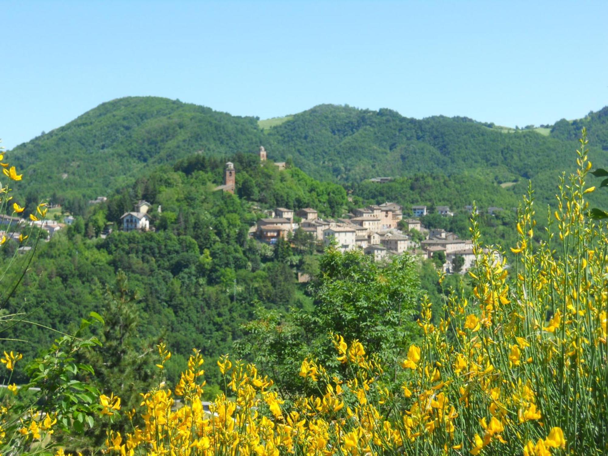מונטמונקו Agriturismo Le Castellare מראה חיצוני תמונה