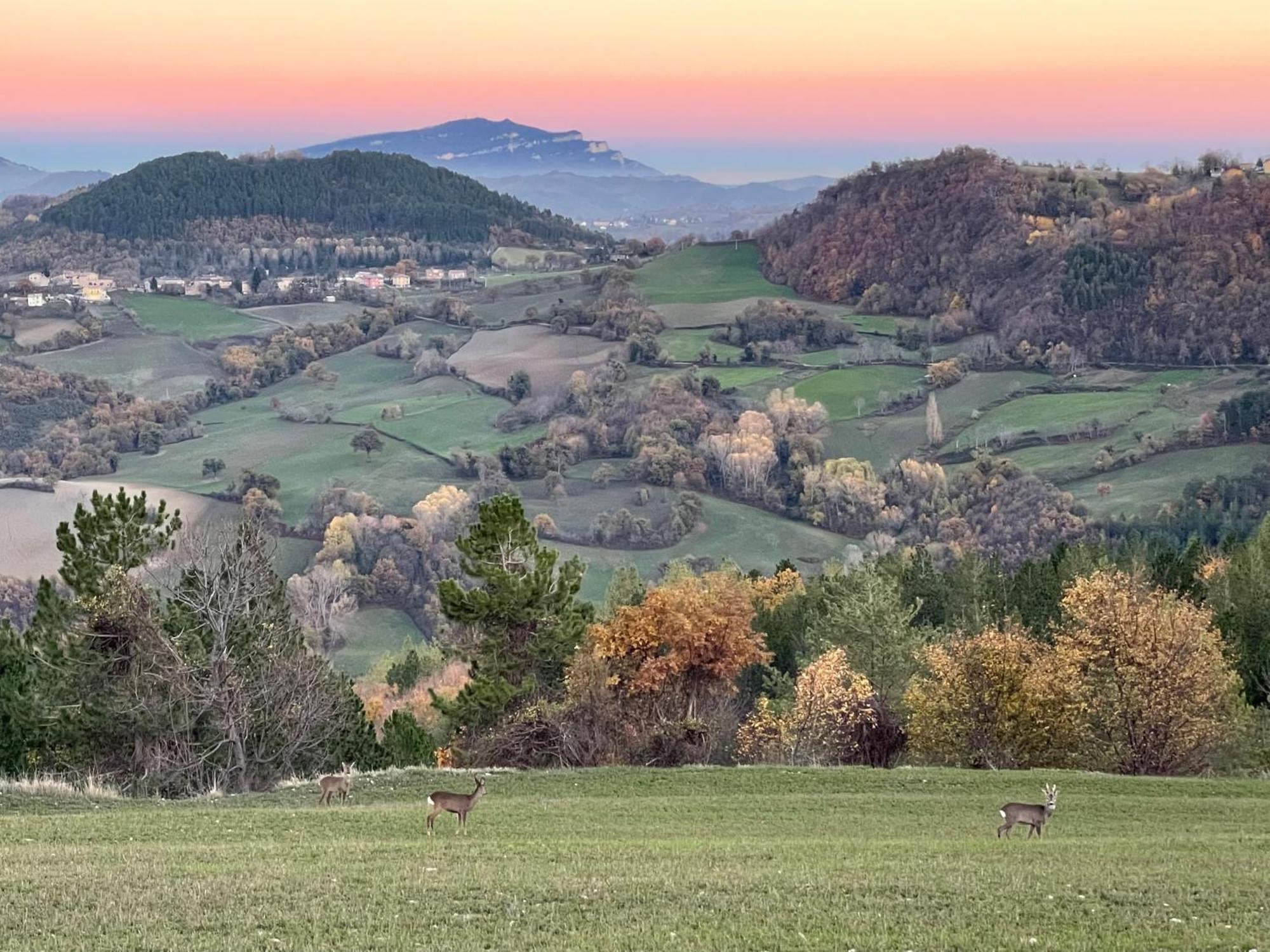 מונטמונקו Agriturismo Le Castellare מראה חיצוני תמונה