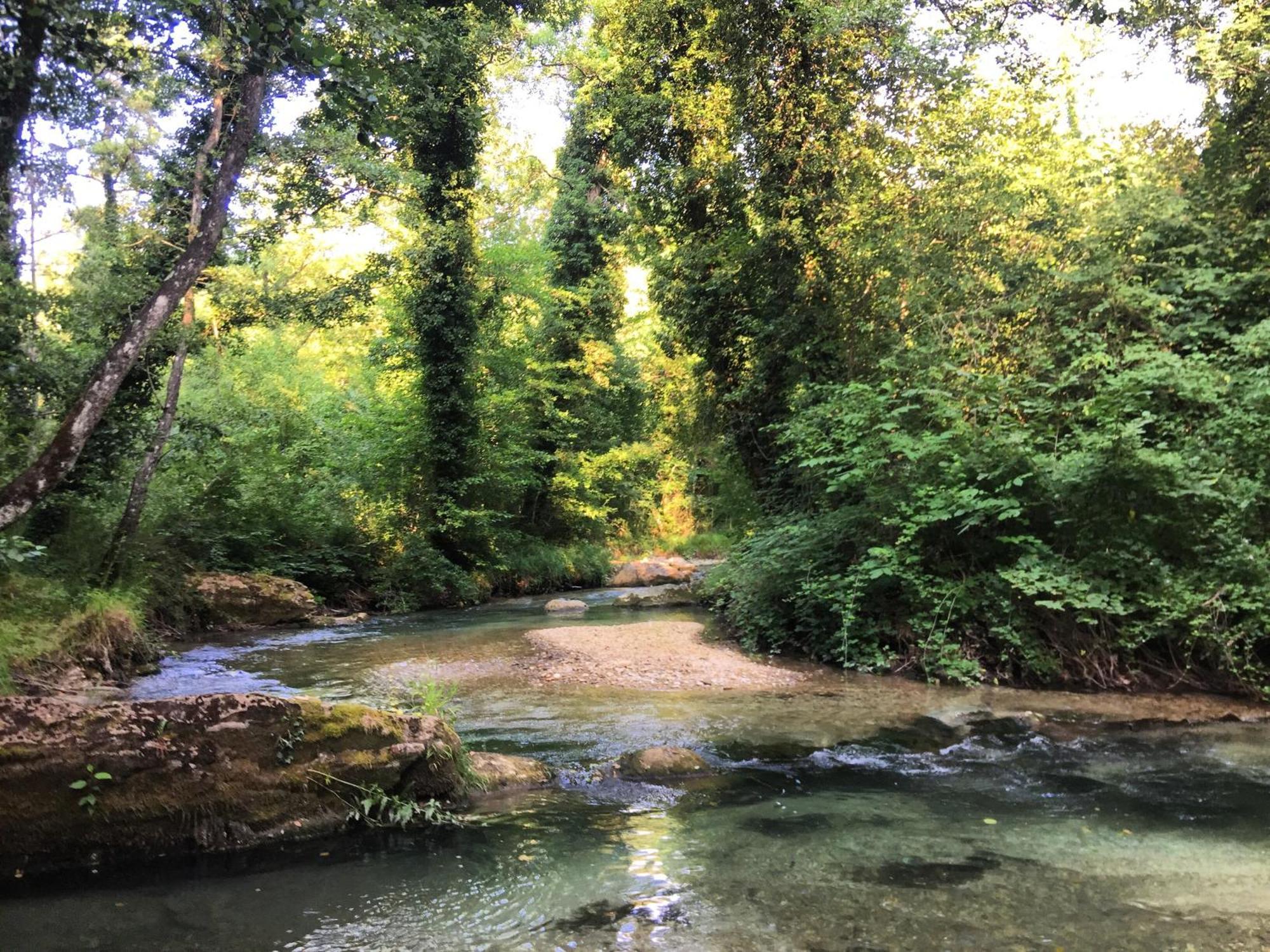מונטמונקו Agriturismo Le Castellare מראה חיצוני תמונה
