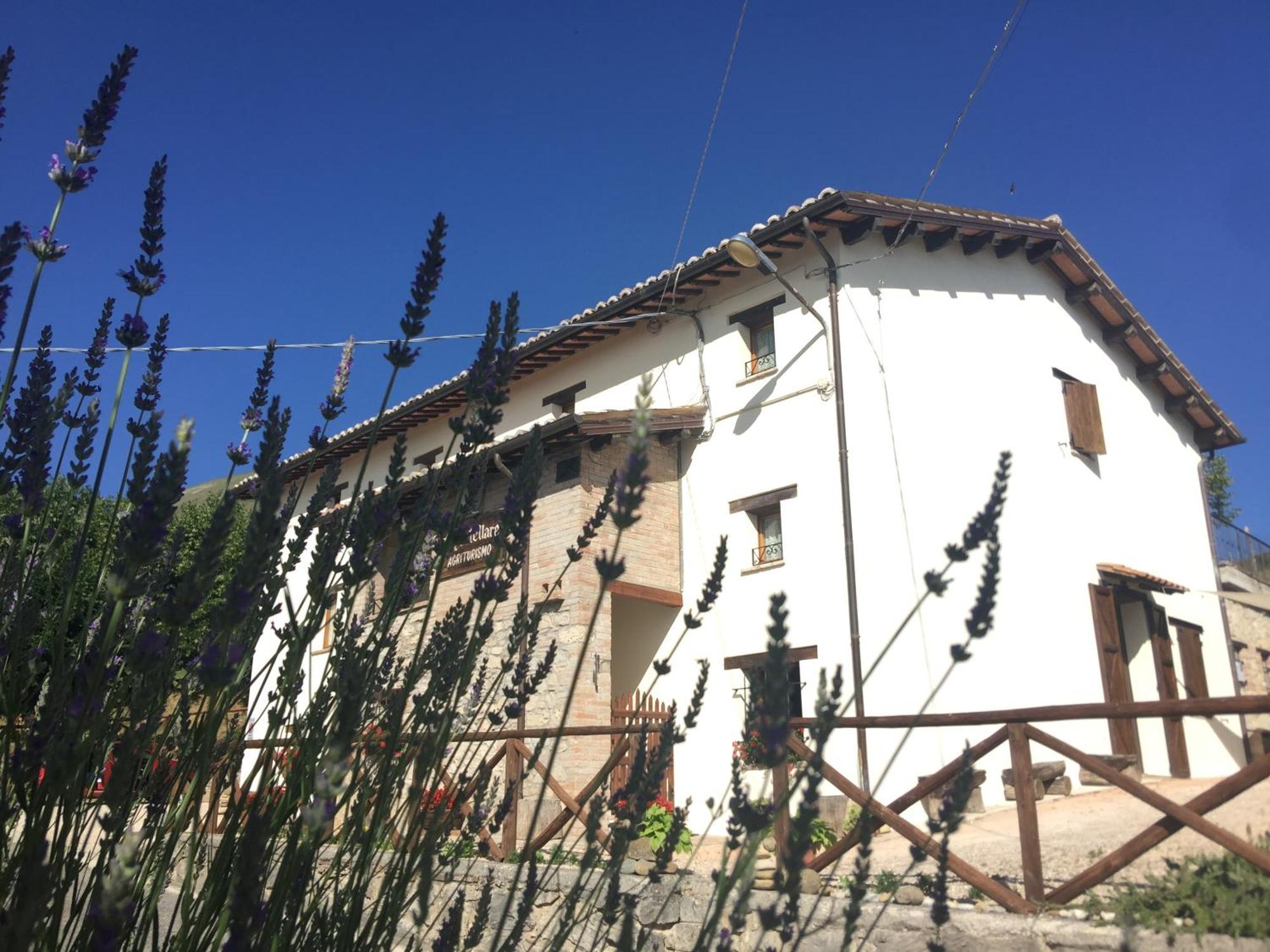 מונטמונקו Agriturismo Le Castellare מראה חיצוני תמונה