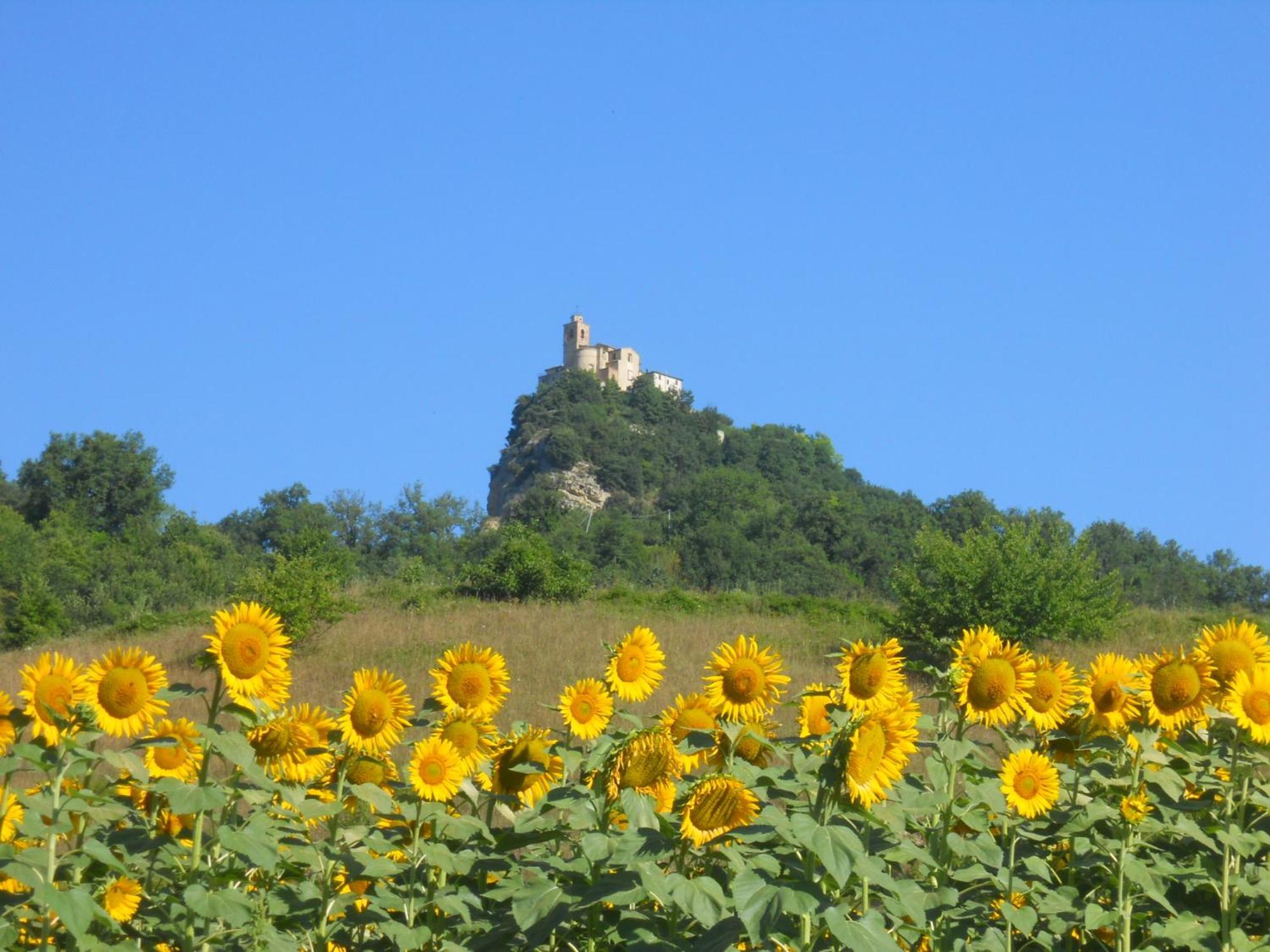 מונטמונקו Agriturismo Le Castellare מראה חיצוני תמונה